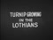 'TURNIP GROWING IN THE LOTHIANS' thumbnail