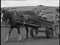 'FARMING AT GIFFORD 1953' thumbnail