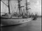 'GORCH FOCK' thumbnail