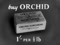 'ORCHID BUTTER' thumbnail