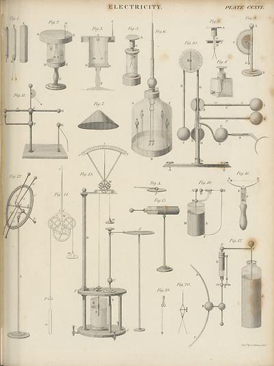 (945) Plate 216 - 