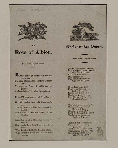 (22) Rose of Albion