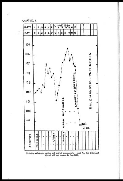 (10) Chart no. 4 - 