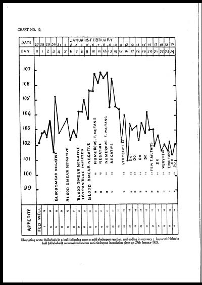 (26) Chart no. 12 - 