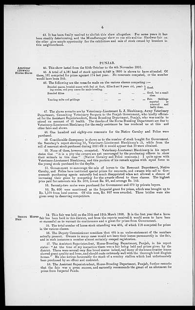 (4) Page 4 -