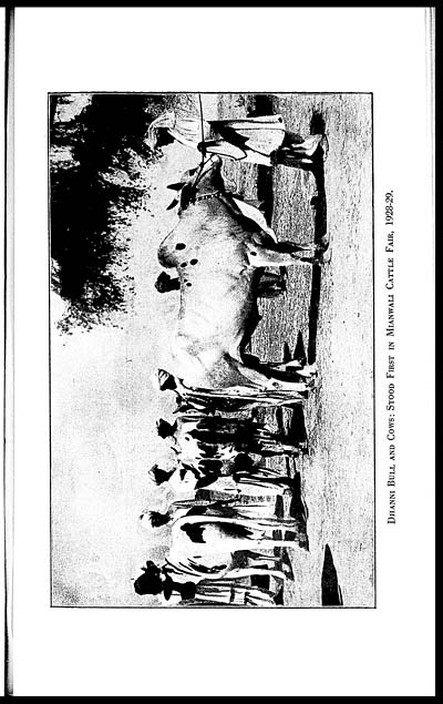 (63) Plate -