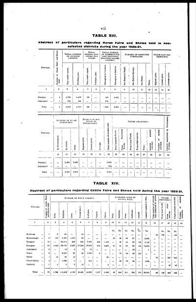 (26) Page viii -