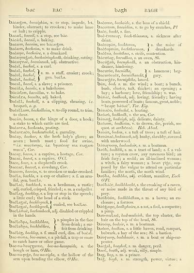 61) - J F Campbell Collection > Irish-English dictionary