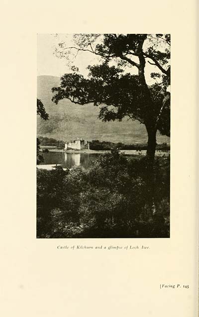 (186)