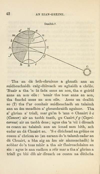 (46) 