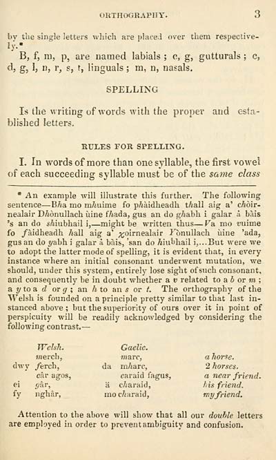 15 Blair Collection Practical Grammar Of The Scottish Gaelic Early Gaelic Book Collections National Library Of Scotland