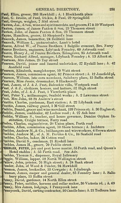 273 Towns Dundee 1809 1912 Dundee directory 1880 1881