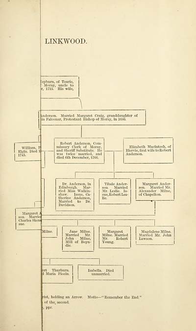 (47) Folded genealogical chart - 