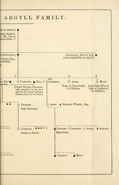 (13) Folded genealogical chart - 