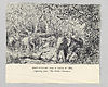 Thumbnail of file (2) Folio 94 - First elephant ride in Perak in 1883