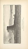 Thumbnail of file (52) Illustrated plate - Castleof Mousa, Shetland