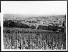 Thumbnail of file (73) D.2780 - View of Epernay of wine fame which the Germans are bombing and shelling