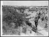 Thumbnail of file (337) D.2781 - How nature prevails - flowers overgrowing an old front line German Trench