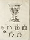 Thumbnail of file (186) Plate 189