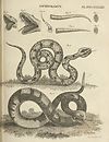 Thumbnail of file (177) Plate 371