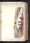 Thumbnail of file (257) Folio 126 recto