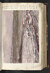 Thumbnail of file (265) Folio 130 recto