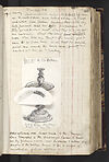 Thumbnail of file (267) Folio 131 recto