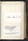 Thumbnail of file (289) Folio 141 recto