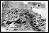 Thumbnail of file (18) C.2420 - Australians resting on their way to the front line