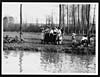 Thumbnail of file (12) C.1649 - Spectators watching the swimming race