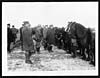 Thumbnail of file (4) C.1241 - Inspecting the horse transport of a Canadian Battalion