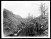 Thumbnail of file (74) C.1261 - Captured German trench in Gommecourt