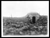 Thumbnail of file (78) C.1274 - Part of captured German trench opposite Gommecourt