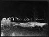 Thumbnail of file (5) C.475 - Night scene within the Australian lines
