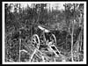 Thumbnail of file (341) C.575 - German field gun in Mametz Wood