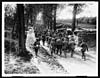 Thumbnail of file (7) C.840 - Prisoners coming in from Thiepval