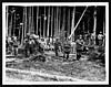 Thumbnail of file (8) C.1855 - Some of the Canadians who are working at the Front