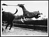 Thumbnail of file (268) C.1931 - Led horse lagging behind