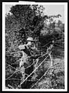 Thumbnail of file (379) D.2863 - Wiring a ditch