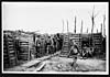 Thumbnail of file (16) D.1633 - Portuguese in the trenches
