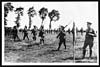 Thumbnail of file (58) D.1662 - H.M. watching a display by the infantry