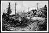 Thumbnail of file (228) D.2080 - Horses of patrols tethered behind dug-outs in a dip