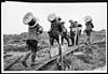 Thumbnail of file (252) D.2114 - Telegraph wire going up for No Man's Land