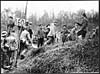 Thumbnail of file (431) D.547 - Counting the prisoners as they come in from Beaumont Hamel