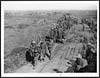 Thumbnail of file (437) D.559 - Prisoners rolling in from Les Boefs on the 25th September showing a tank in the distance