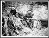Thumbnail of file (441) D.569 - Boche machine guns captured at Beaucourt sur Ancre