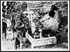 Thumbnail of file (24) D.2679 - Scene near the front line in the Ypres salient