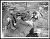 Thumbnail of file (240) D.2096 - Men of the K.O.Y.L.I. playing cards