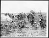 Thumbnail of file (171) D.1542 - Pack mules going up over captured German ground