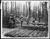 Thumbnail of file (482) D.666 - Laying a light railway on which logs will be brought to the mill